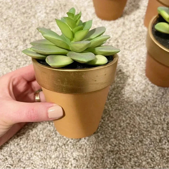 Set of 3 terracotta faux succulents new - Picture 4 of 12